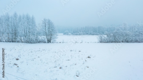 Winter landscape with trees and field