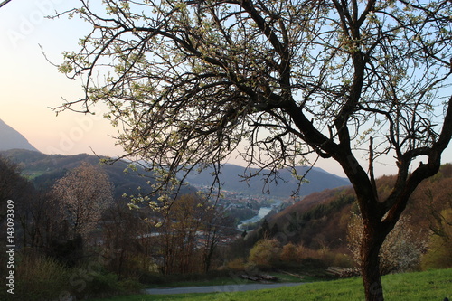 Photos Borgosesia high view in spring