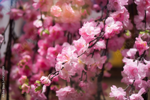 the stems of pink flowers background