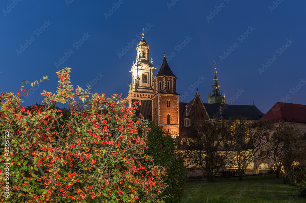 Night view of the Wawel cathedral and Wawel castle over flowery garden on the Wawel Hill, Krakow, Poland.