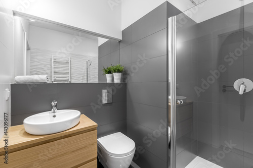 Modern grey bathroom with shower