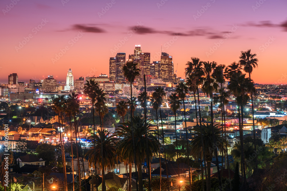 Naklejka premium Piękny zachód słońca panoramę centrum Los Angeles i palmy na pierwszym planie