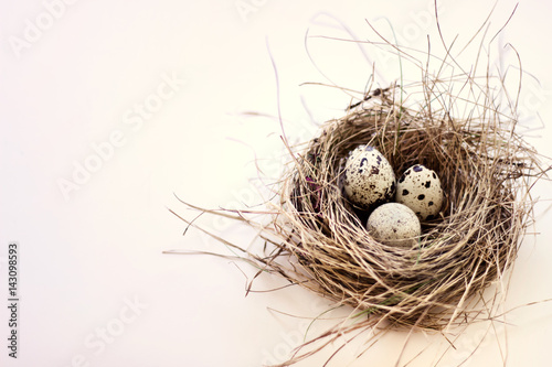 Birds nest with three eggs with spots on white background.