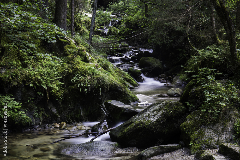 Kienes ruscello di montagna nel bosco