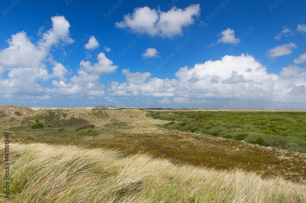 Dunes at the Dutch coast