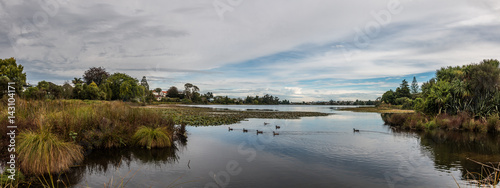 Fototapeta Naklejka Na Ścianę i Meble -  Hamilton Lake Domain, New Zealand