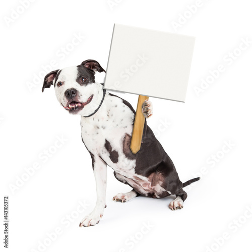 Fototapeta Naklejka Na Ścianę i Meble -  Happy Dog Holding Up Blank Sign Post