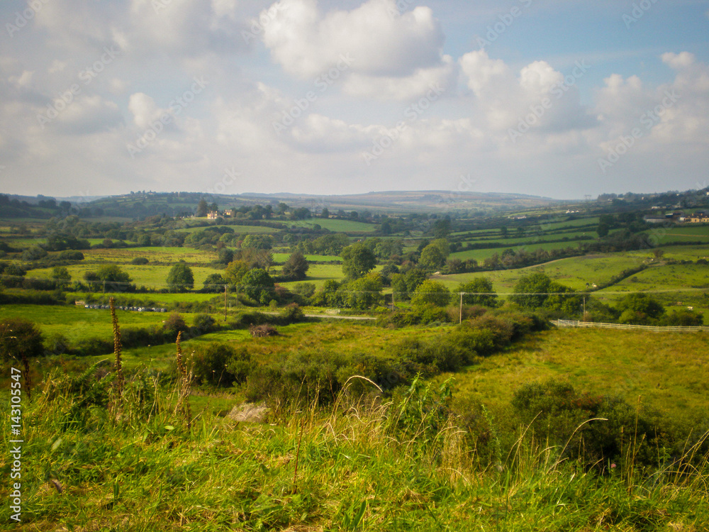 Green fields in Ireland