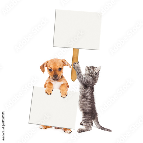 Puppy and Kitten Holding Blank Signs © adogslifephoto