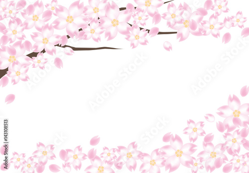 桜の木のフレーム