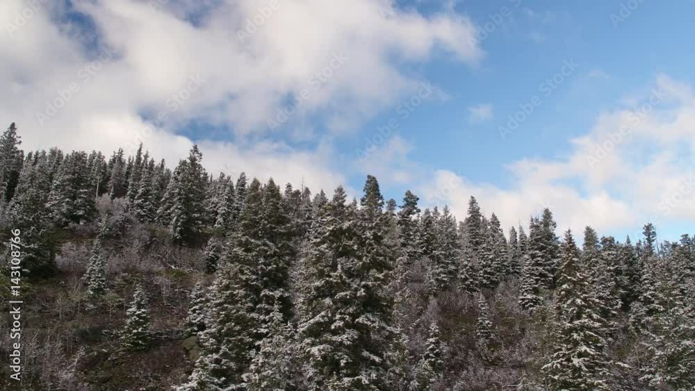 Panning view of white clouds in blue sky above snowy forest Panning view of white clouds in blue sky above snowy forest