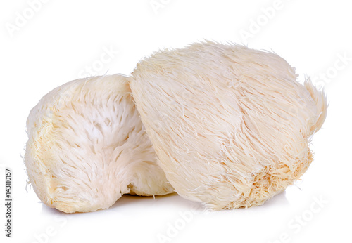 lion mane mushroom isolated on white background photo