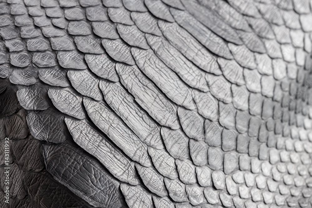 Reptile snake texture closeup, fashion zigzag snakeskin python picture. Reptile snake texture closeup, fashion zigzag snakeskin python picture.