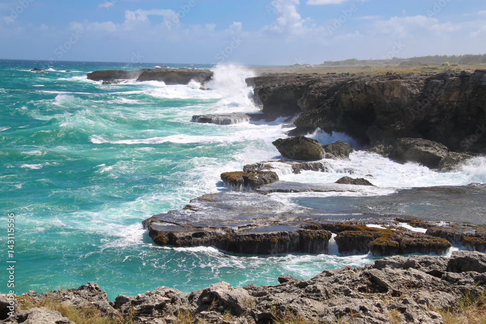The north point of the island Barbados (Animal Flower Bay)