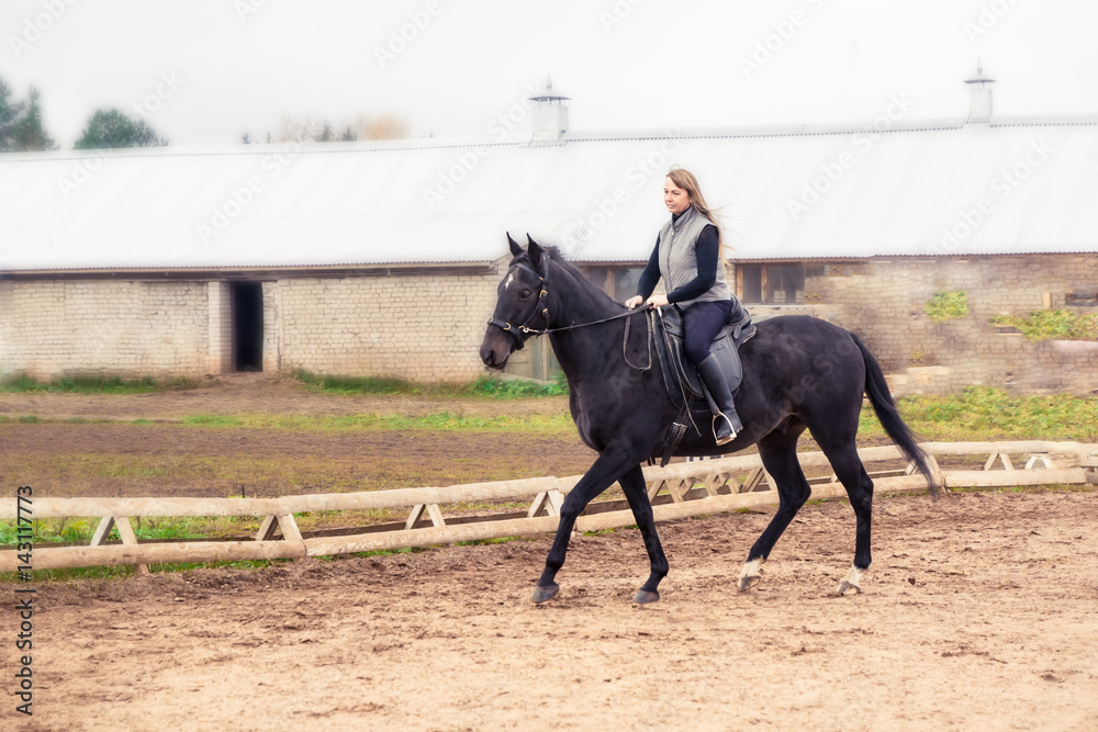 Girl and horse Girl and horse