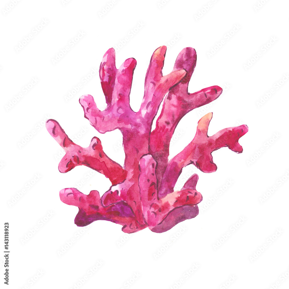 Fototapeta premium Purple watercolor coral