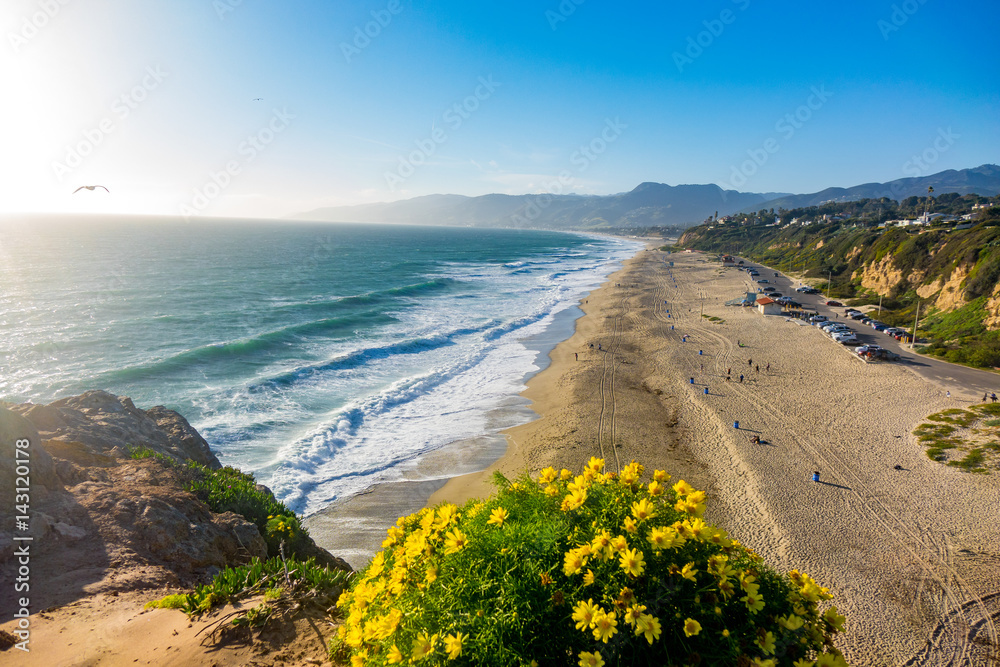 Foto Point Dume in Full Bloom