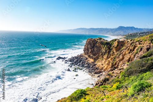 Point Dume in Full Bloom