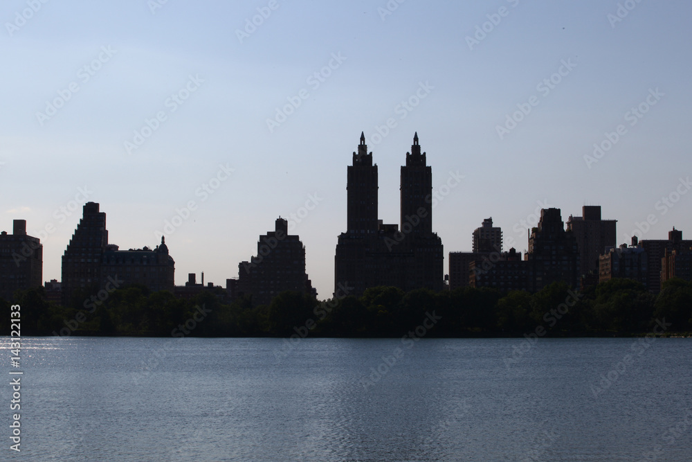 Silhouette of Buildings from Central Park in New York
