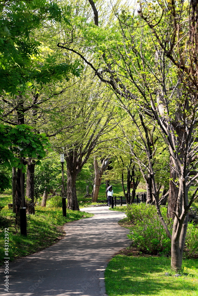 Park in Sapporo city in the spring