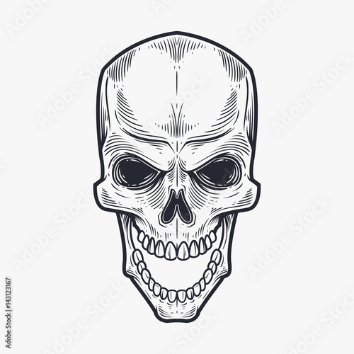 Skull hand draw