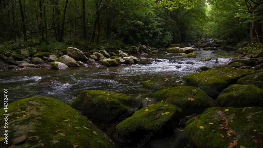 Peaceful rive flowing through the Blue Ridge Mountains of Asheville North Carolina Peaceful rive flowing through the Blue Ridge Mountains of Asheville North Carolina