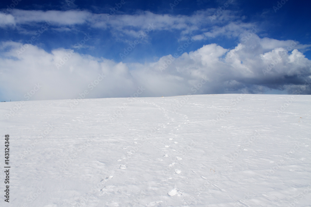 следы на белом снеге уходят за горизонт в облако