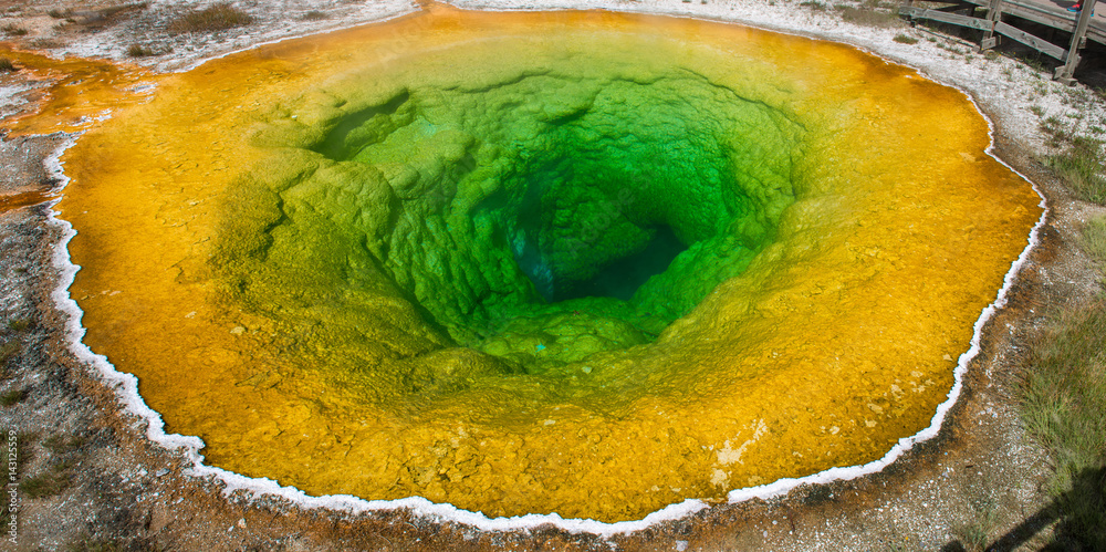 Fototapeta premium The Morning Glory Pool, Yellowstone National Park