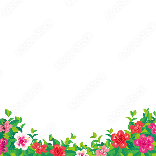 ハイビスカス　イラスト