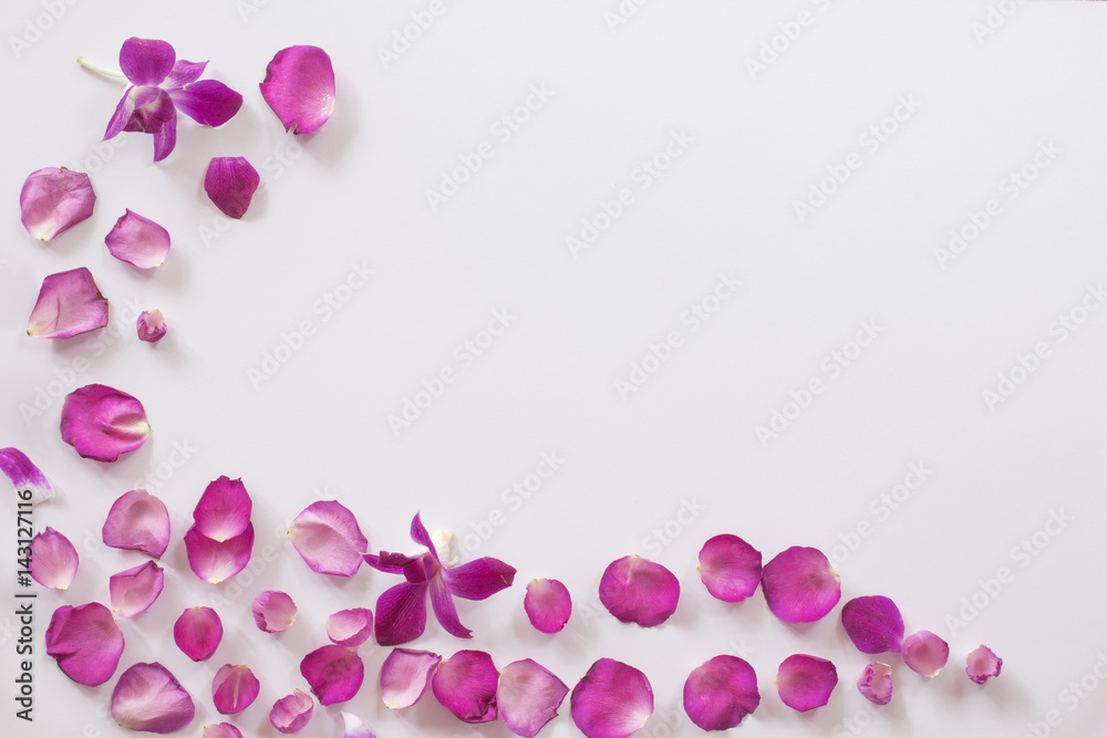 background of pink rose petals and orchid ﬂower. top view,