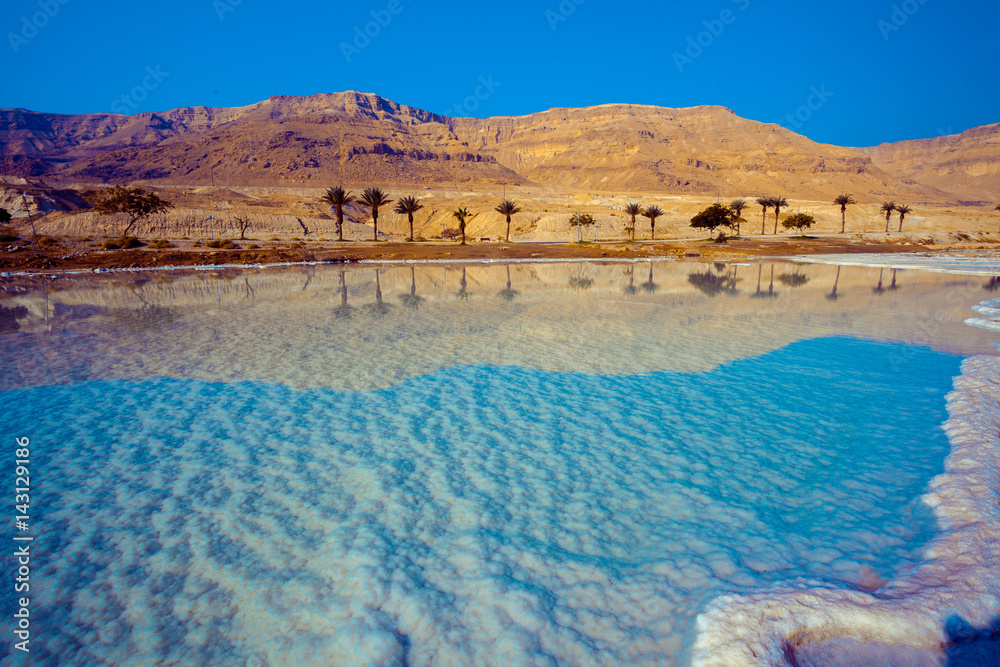 Fototapeta Dead sea salty shore. Wild nature