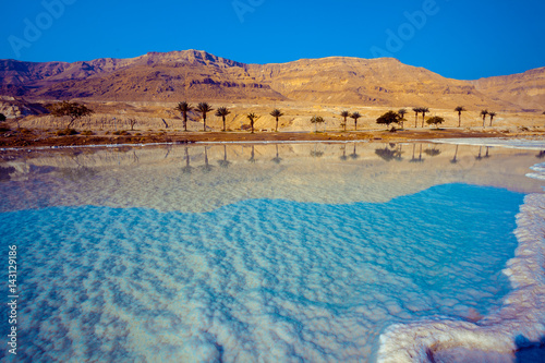 Dead sea salty shore. Wild nature photo