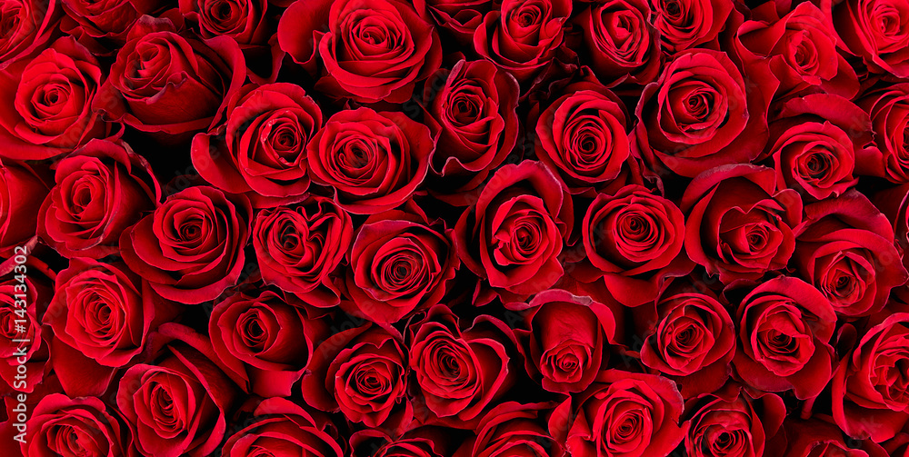 Obraz premium Tło naturalne czerwone róże