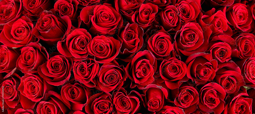 Naklejka premium Naturalne czerwone róże tło