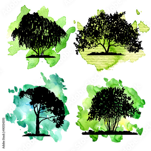 vector set of deciduous trees