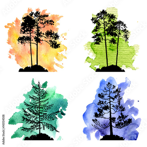 vector set of conifer trees