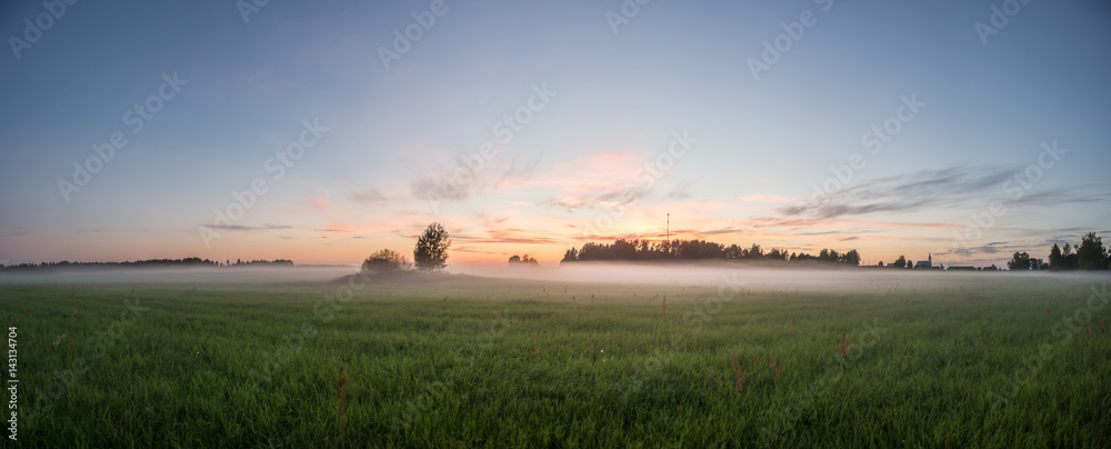 Green field at dusk with fog or mist. Nature landscape panorama.