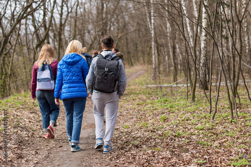 Group of friends walking with backpacks in spring forest from back. Backpackers hiking in the woods. Adventure, travel, tourism, active rest, hike and people friendship concept.