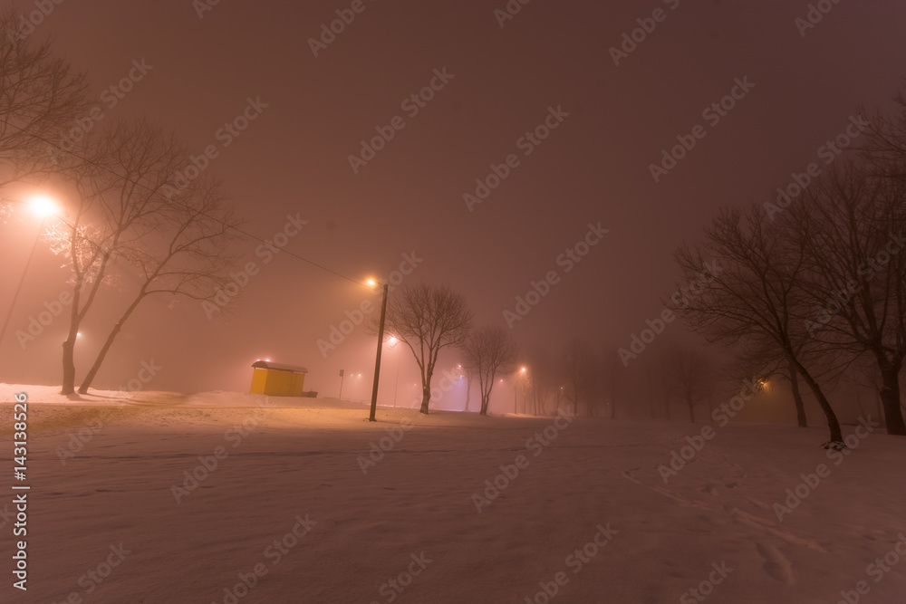 Night urban landscape with fog. Winter landscape.