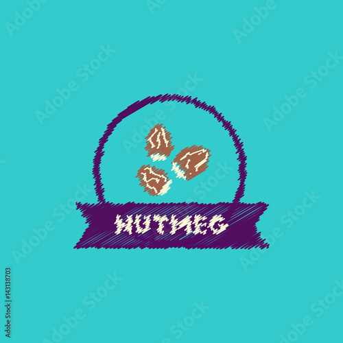 flat vector icon design collection Kitchenware seasoning nutmeg
