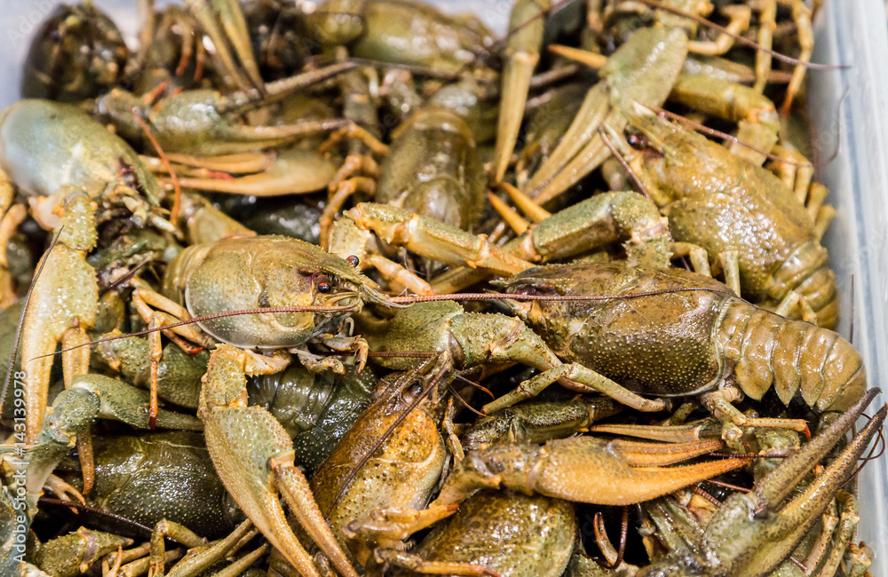 Live crayfish on the counter market. Live crayfish on the counter market.