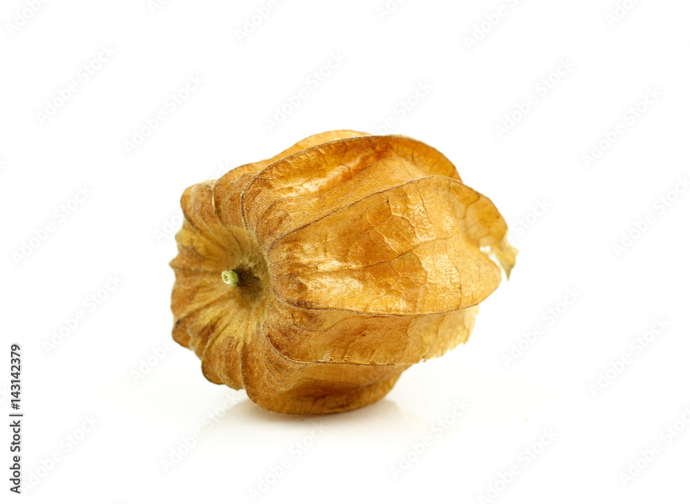 Fresh golden cape gooseberry, physalis Fresh golden cape gooseberry, physalis