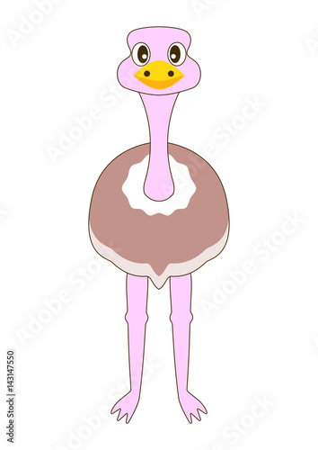 ダチョウ