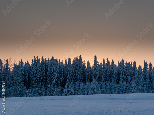Winterlandschaft © ArcticMonkey