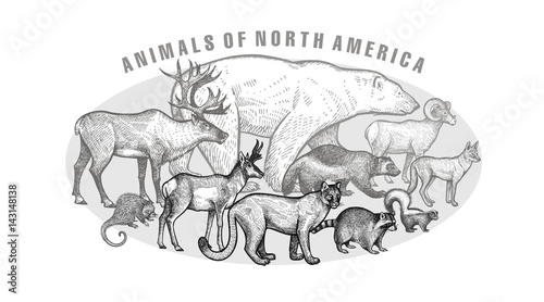 Poster with ianimals of North America.