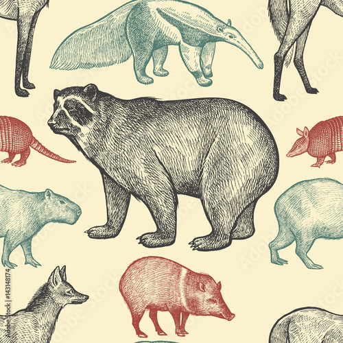 Seamless pattern with animals.