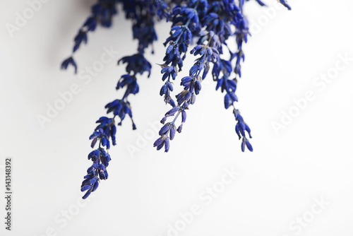 Fototapeta Naklejka Na Ścianę i Meble -  Blue colored flowers placed in a bunch on white background. Horizontal studio shot.