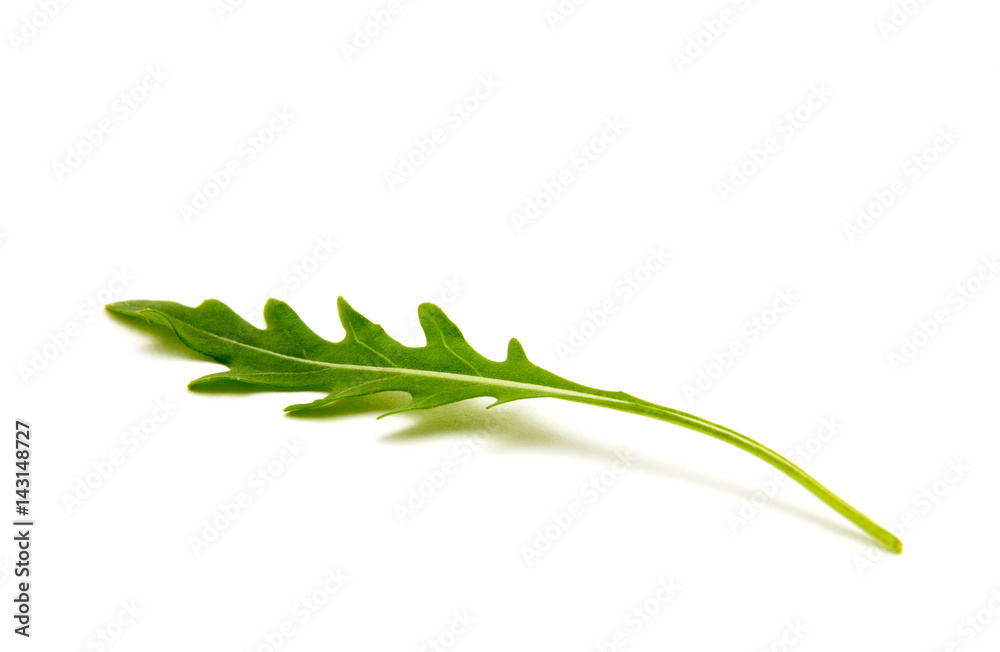 Green arugula leaf isolated on white Green arugula leaf isolated on white