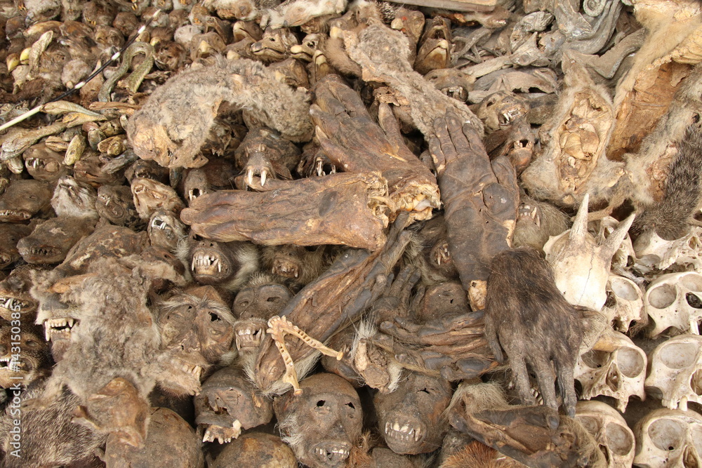 Monkey Hands, Voodoo paraphernalia, Akodessawa Fetish Market, Lomé, Togo / This market is located in Lomé, the capital of Togo in West Africa and is is largest voodoo market in the world.