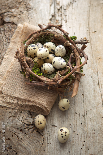 Uova di quaglia nel nido su sfondo di legno.